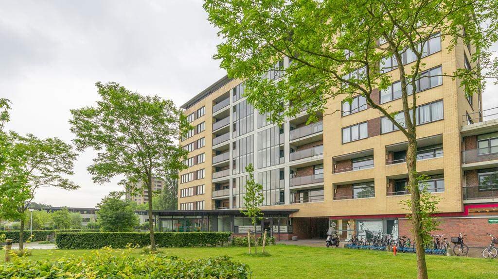 Flat Lasserstraat, Leiden - For Rent