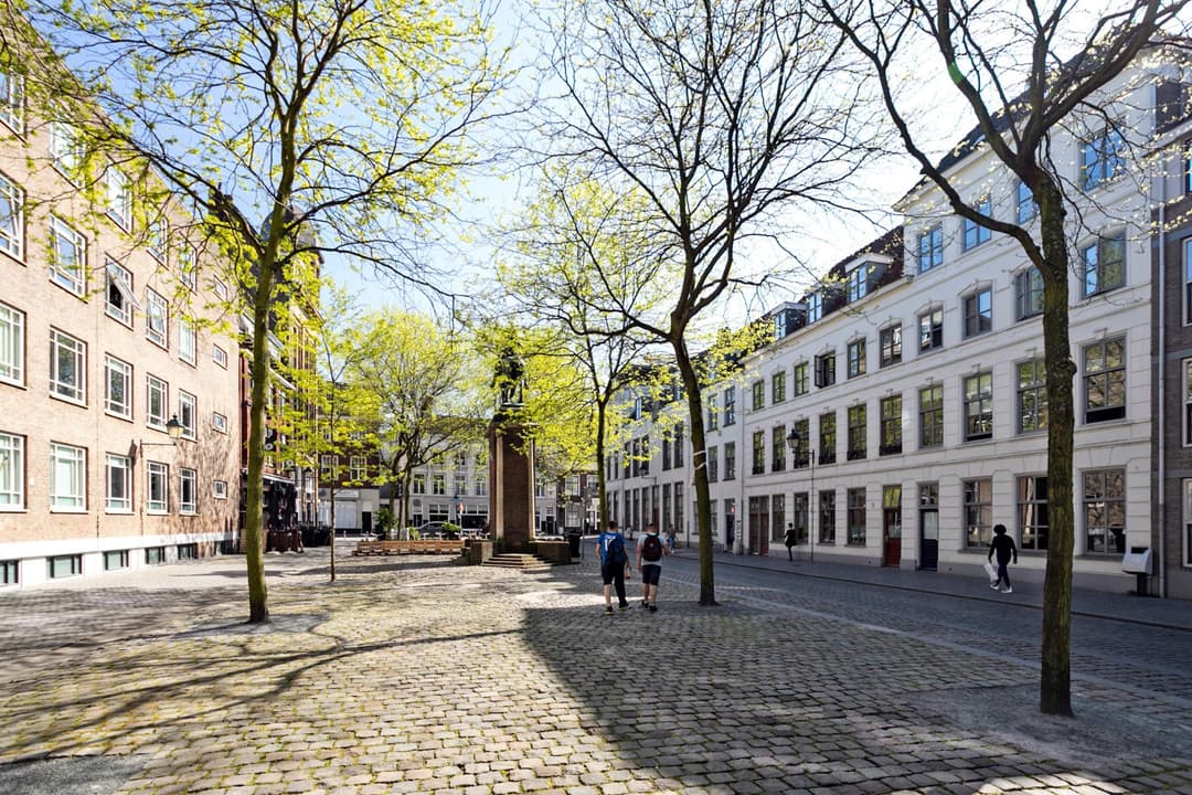 Habitación de Estudiante Kasteelplein, Breda - En Alquiler