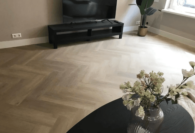Apartment Heemskerckstraat, The Hague - Ground Floor, 101 m²