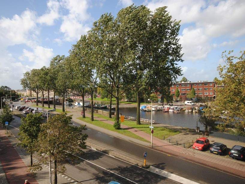 Flat Troelstrakade, Den Haag - Te Huur