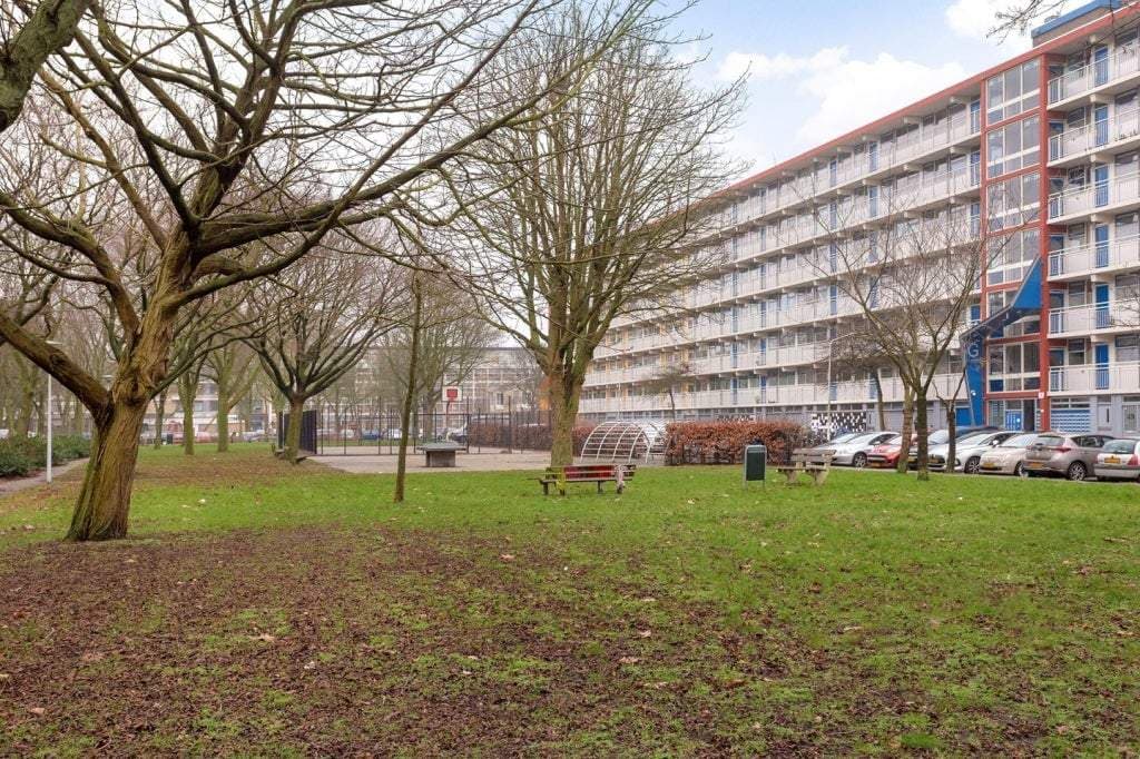 Appartement Jacques Urlusplantsoen, Leiden - À louer