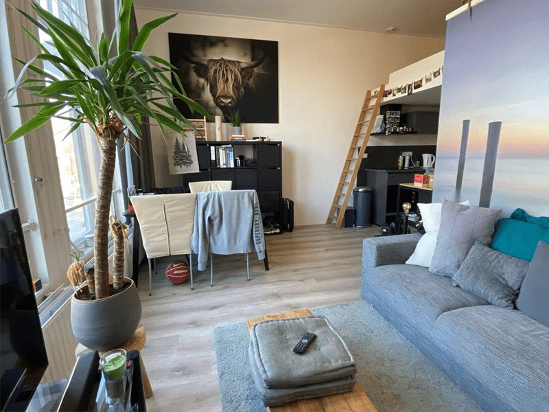 Studio te huur Zuiderpark, Groningen - Per direct