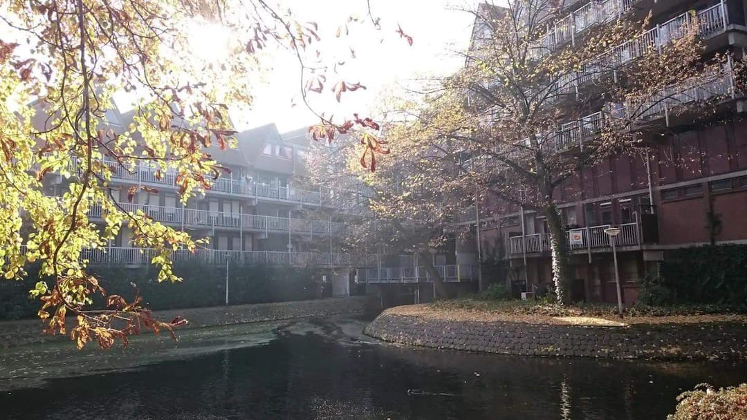 Habitación Vriendenlaan, Rotterdam - Amueblada