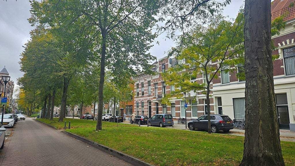 Flat Avenue Concordia, Rotterdam - Zur Vermietung