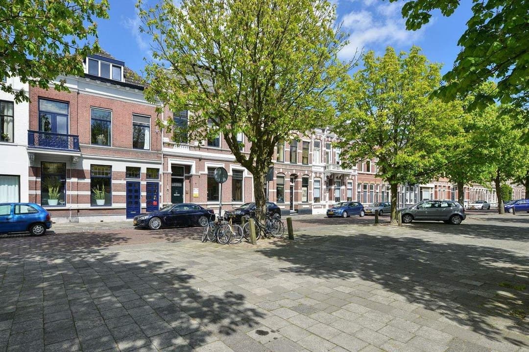 House Nieuwe Boschstraat, Breda - For Rent
