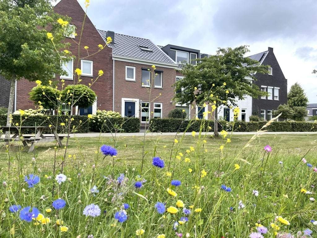 House Slotenhagenstraat, Zwolle - For Rent