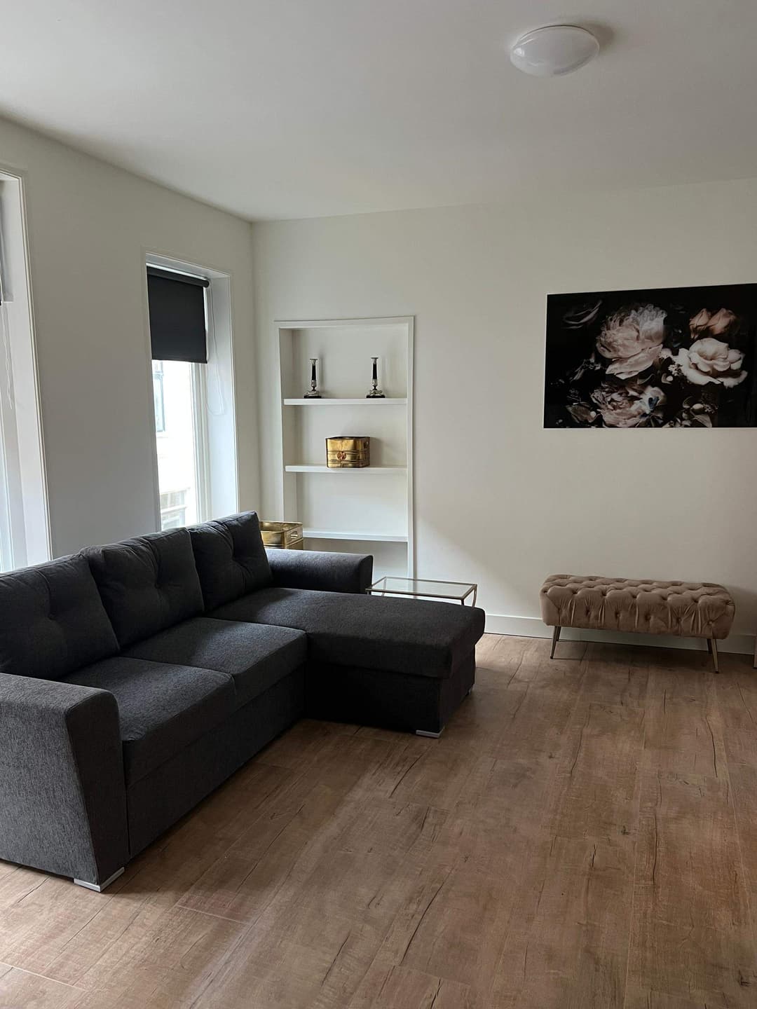 Gemeubileerd Appartement Carolieweg, Groningen - Te Huur