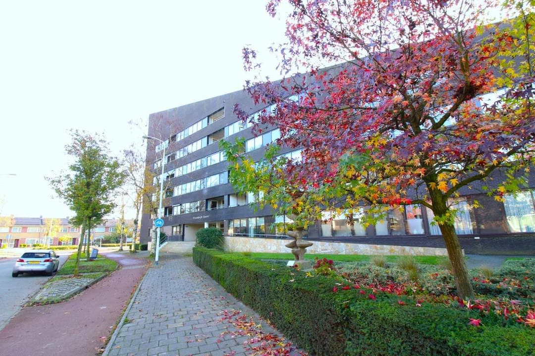 Flat Willem de Bruynstraat, Eindhoven - Zur Miete