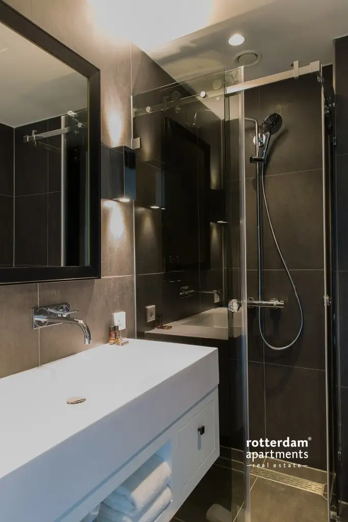 Stadhoudersplantsoen, La Haye - Appartement pour court séjour