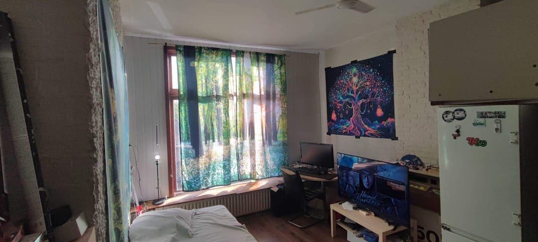Room Willem van Oranjelaan, Breda - Student Room