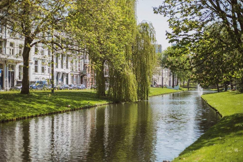 Flat Eendrachtsweg, Rotterdam - For Rent