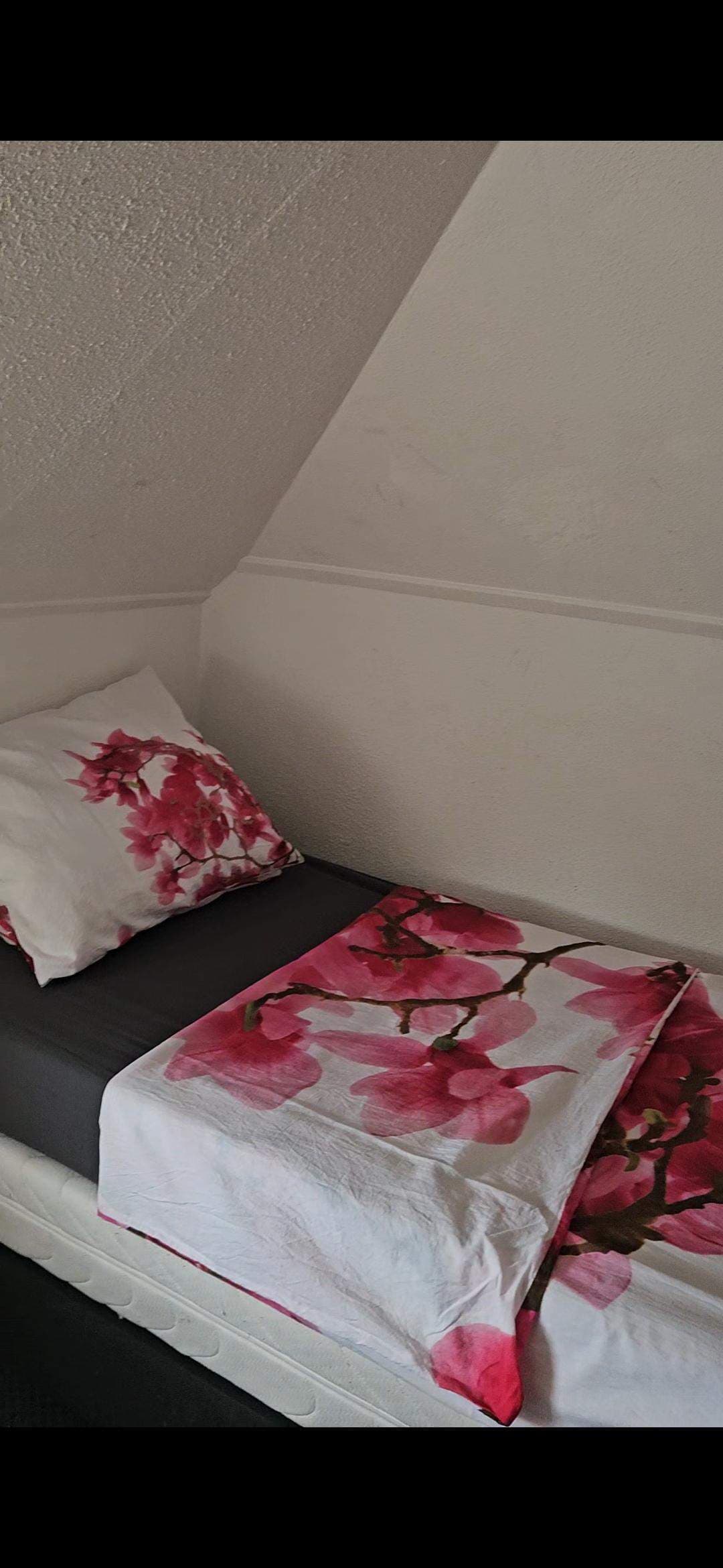 Möblierte Zimmer Muntstraat, Sneek - Zu Vermieten