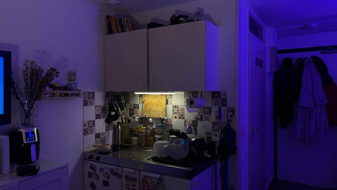 Furnished Studio for Rent, Theresiastraat, Den Haag