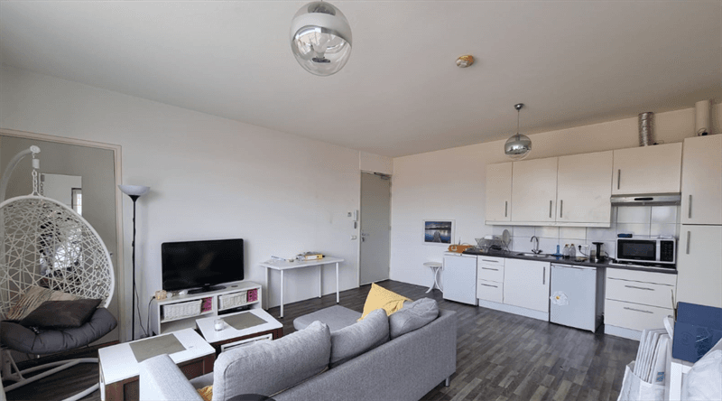 Studio Paradijsvogelstraat, Groningen - For Rent