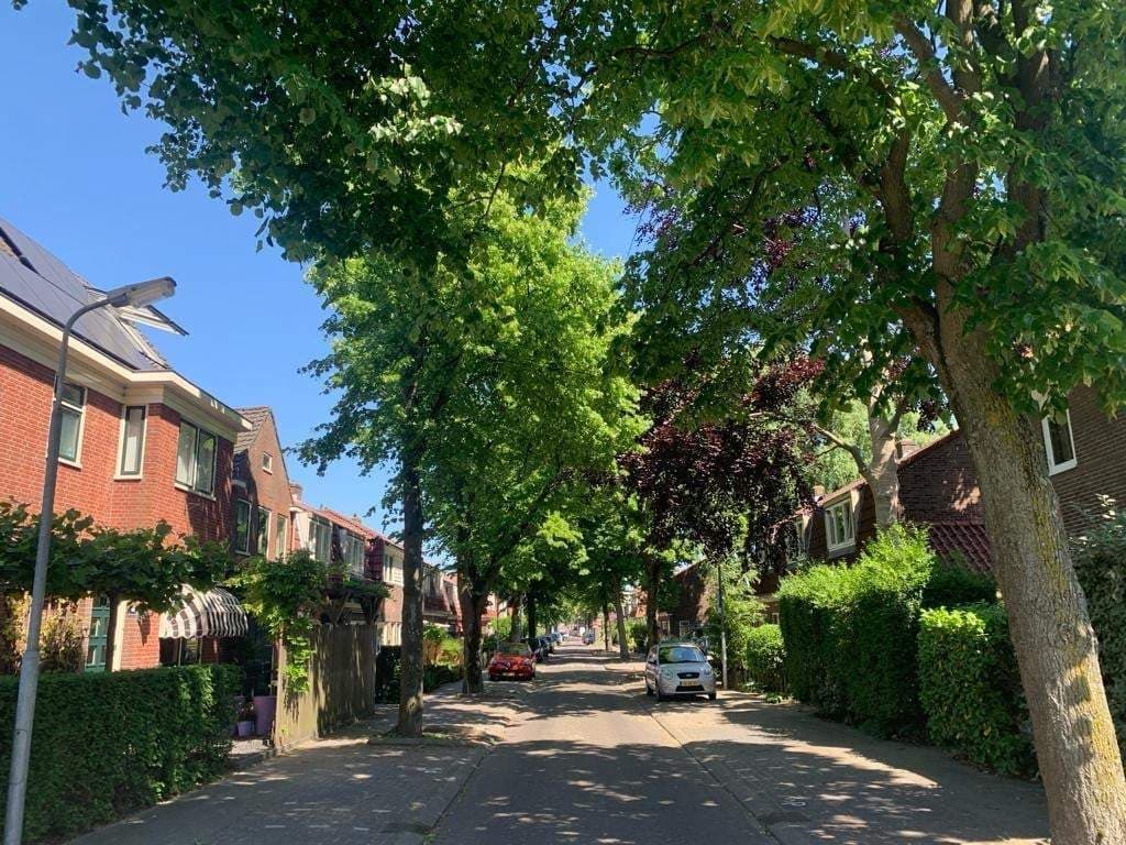 Huis Hyacintstraat, Koog aan de Zaan - Te huur