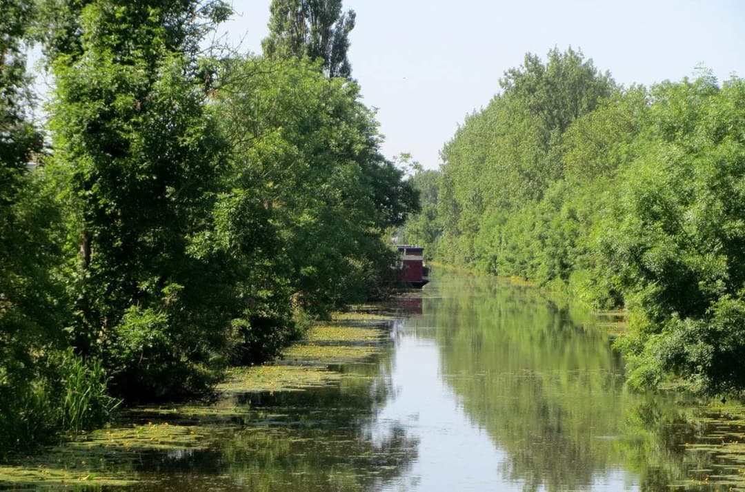 House Boterdiep Wz, Zuidwolde - For Rent