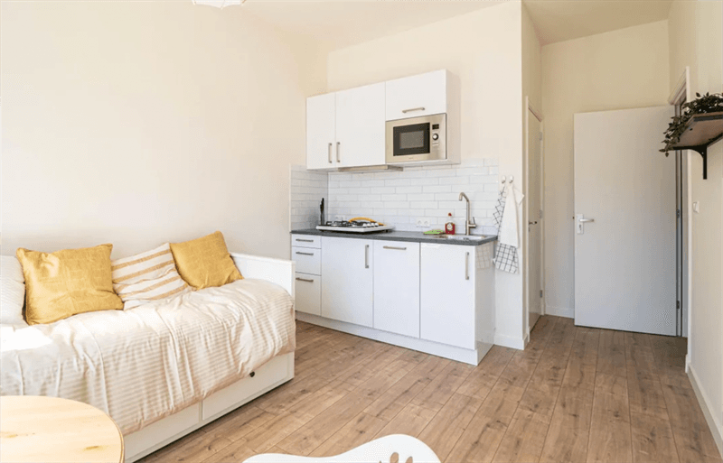 Studio for Rent at Delftselaan, Den Haag