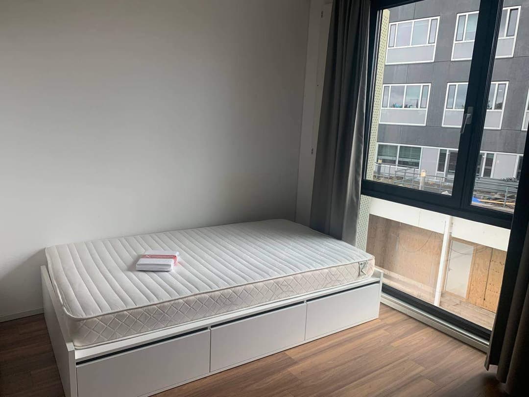 Furnished Studio for Rent - Burgemeester Oudlaan, Rotterdam