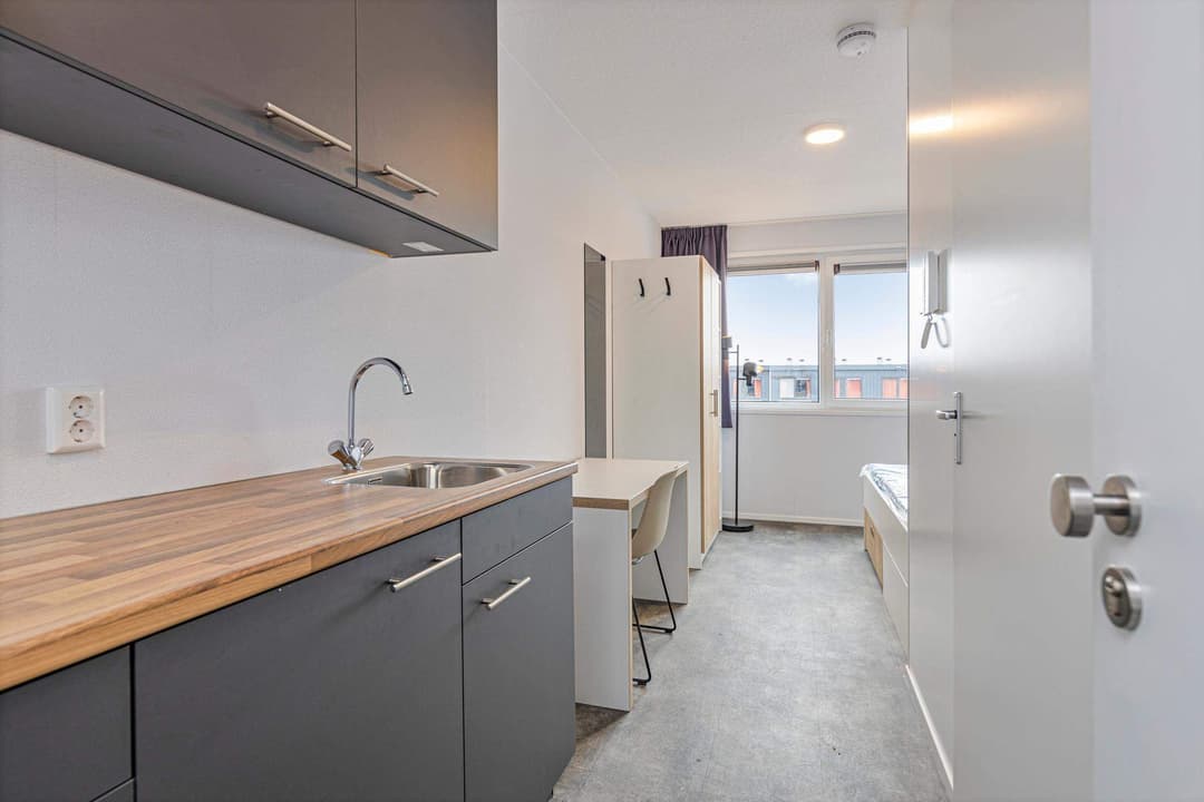Furnished Studio Sorbonnelaan, Maastricht - For Rent