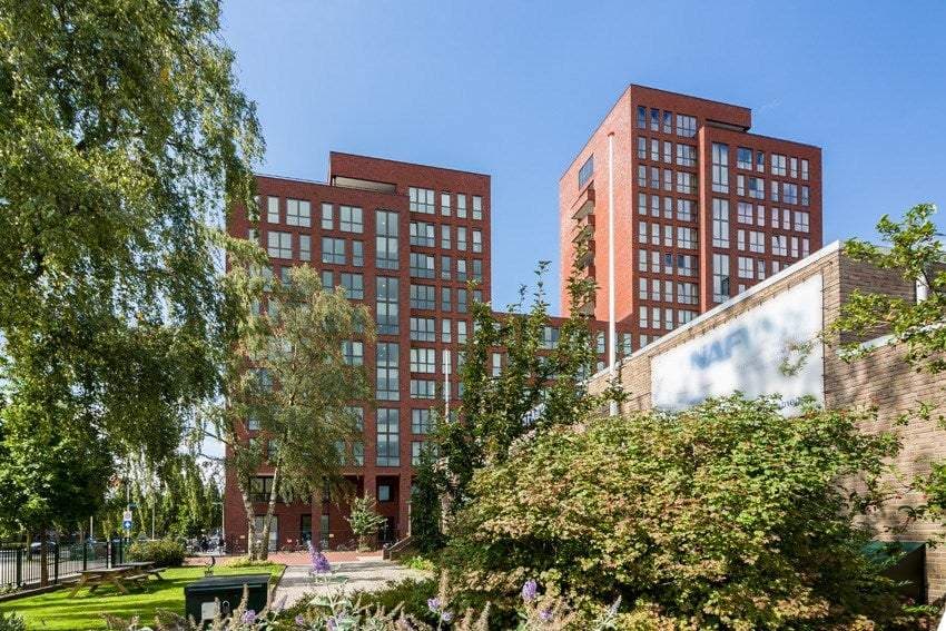 Flat IJsvogelpassage, Nijmegen - Te Huur