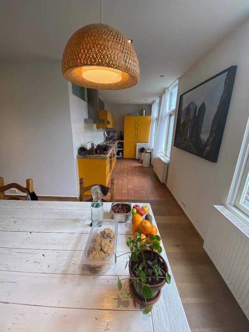 Appartement aan de Hobbemakade, Amsterdam - Te huur