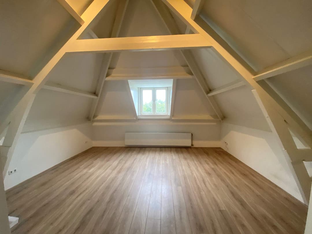 Studio Noordsingel, Oude Noorden, Rotterdam - Te Huur
