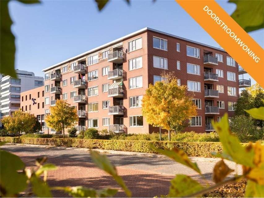 Seniorenwohnung Marktstraat 10, Lelystad - Zu Vermieten
