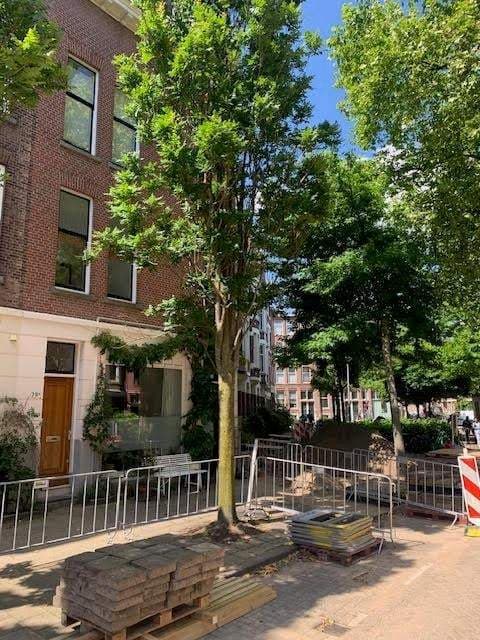 Wohnung Adrien Mildersstraat 79-B01, Rotterdam - Zur Miete
