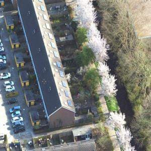 Family House at Spinner 52, Hoorn - For Rent