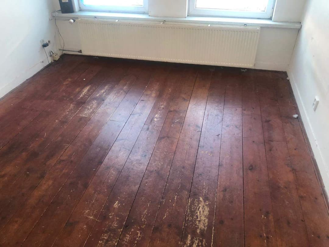 Room for Rent in Adelaarstraat, Utrecht