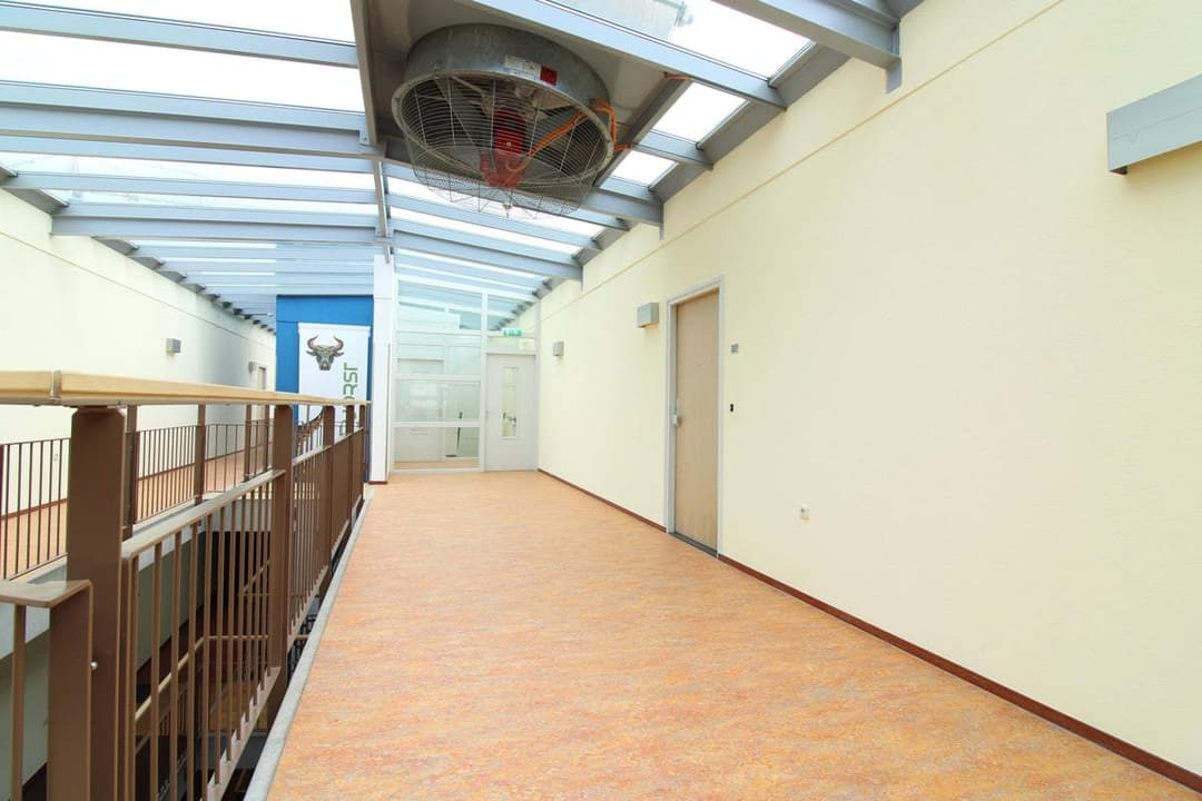 Flat Lichtstraat, Eindhoven - Te Huur