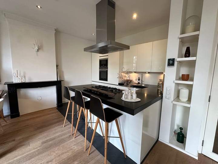 Apartment Johannes Verhulststraat, Amsterdam - For Rent