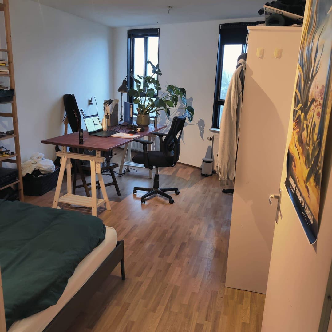 Habitación en Alquiler en Balthasar van der Polweg, Delft