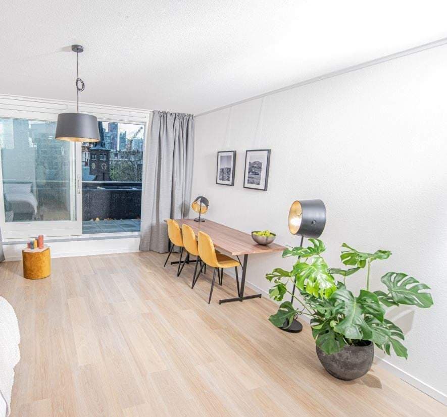 Flat Schiedamsesingel, Rotterdam - Te Huur
