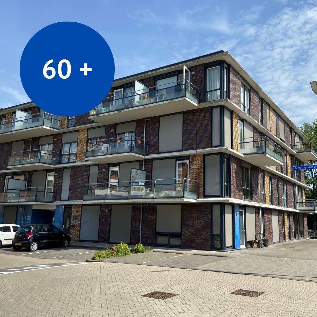 Senior Apartment Tamarixplantsoen 34, Heerhugowaard - For Rent