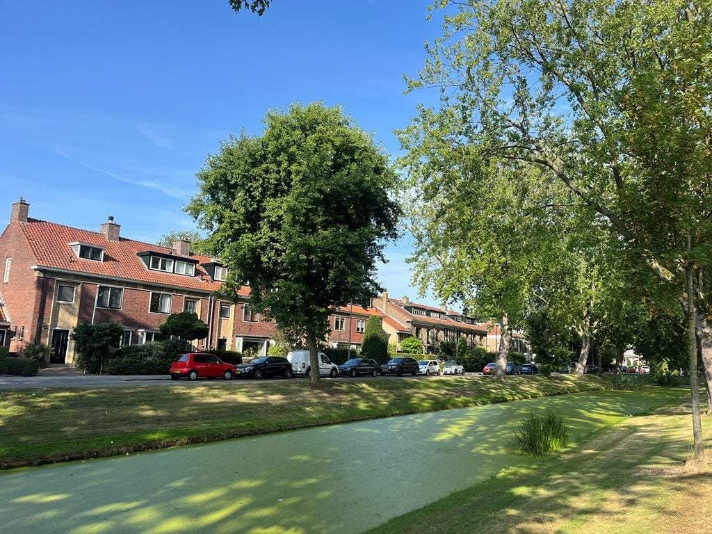 Huis Breedveldsingel, Rotterdam - Te Huur
