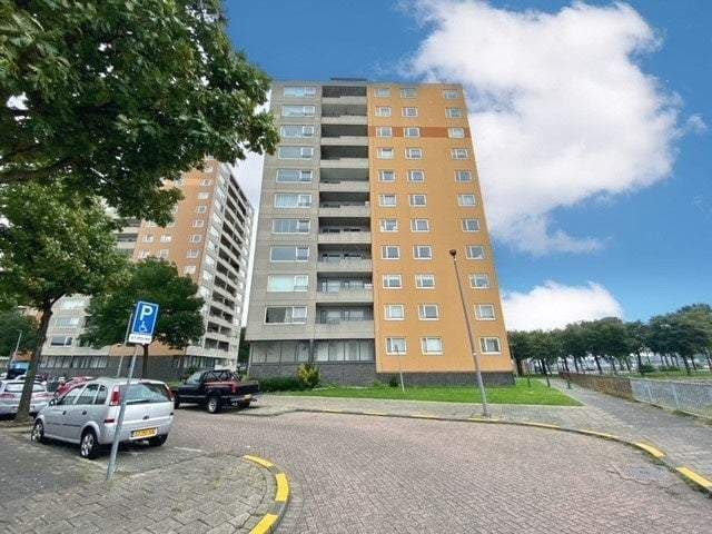Flat Speedwellstraat, Rotterdam - Te Huur