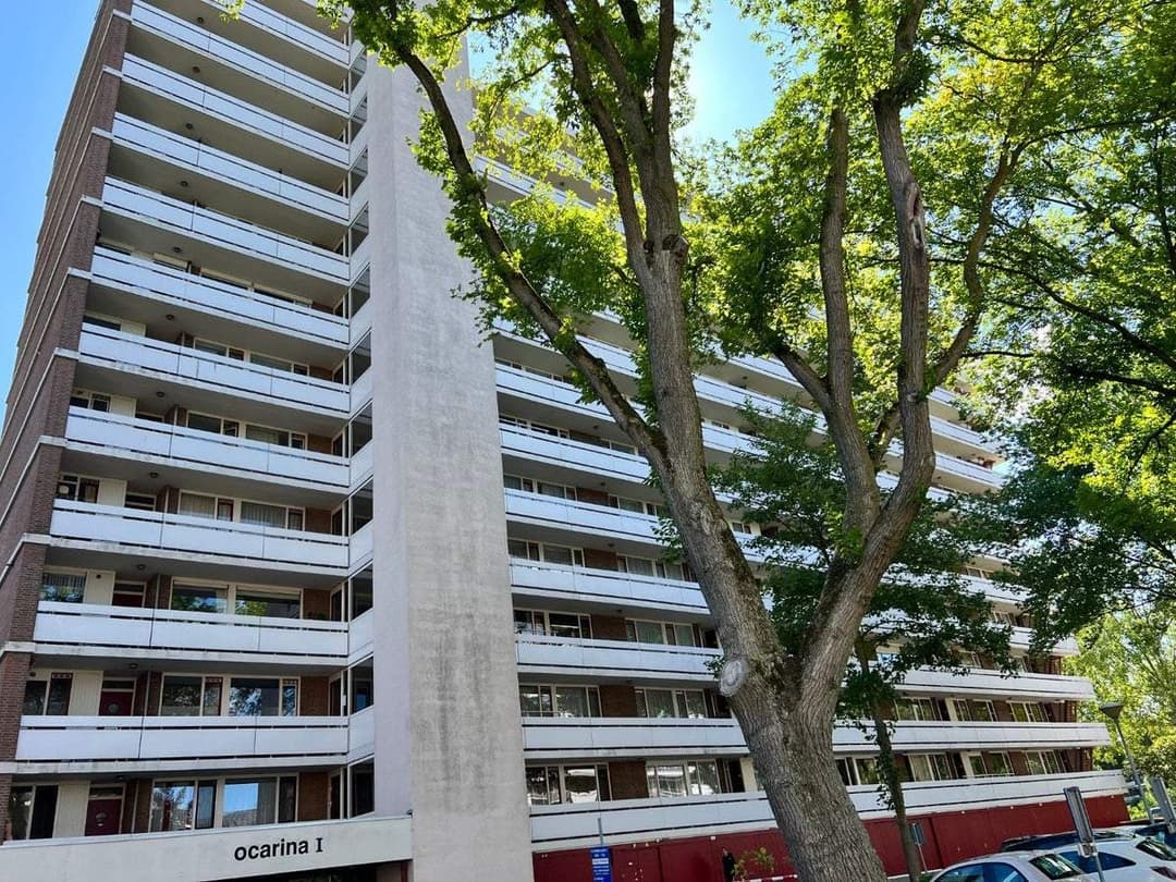 Flat Ocarinalaan, Rijswijk - 3-Zimmer-Wohnung