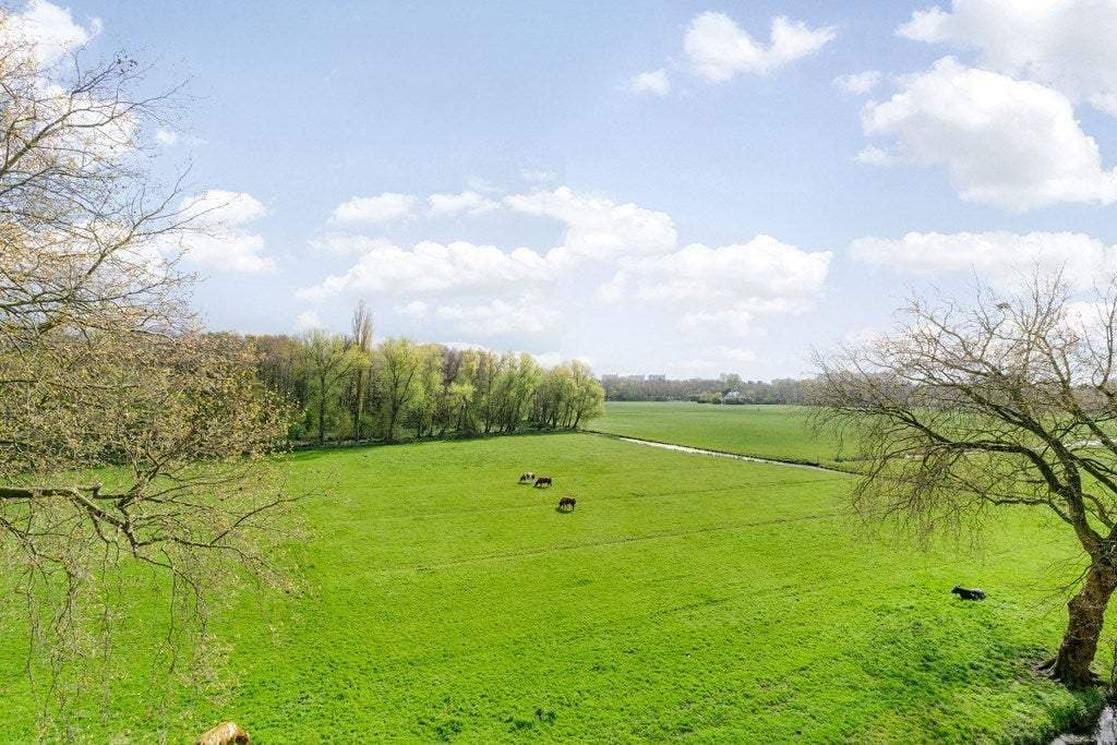 Apartamento Leidsestraatweg 15 417, La Haya - En alquiler
