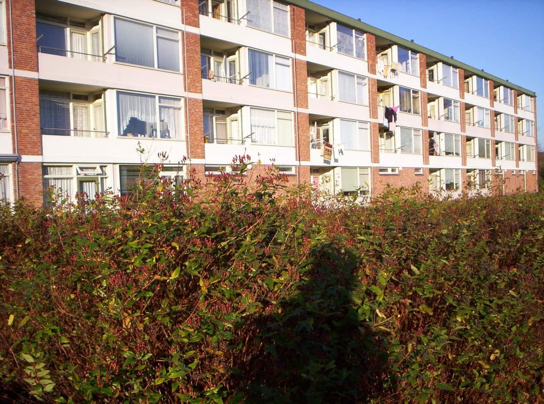 Appartement Erasmusstraat 53, Terneuzen - 2 chambres