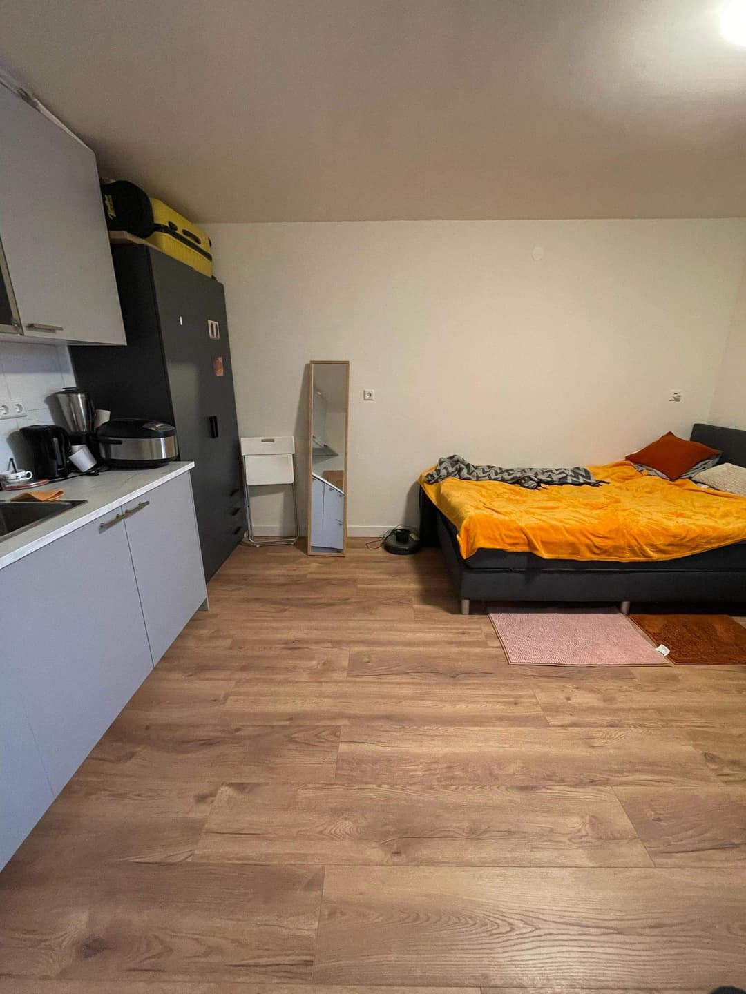 Furnished Studio Bartolomeo Diazlaan, Utrecht - For Rent