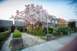 4-room Apartment Hatertseweg, Nijmegen