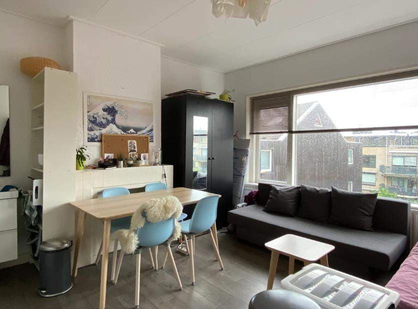 Studio Meublé Hoge Rijndijk, Leiden - À Louer