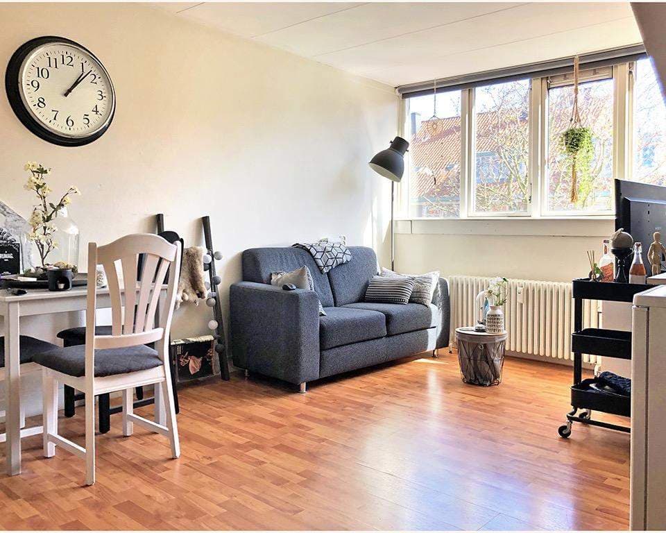 Herculesstraat, Amsterdam - Habitación doble en ático sin amueblar (36 m²)
