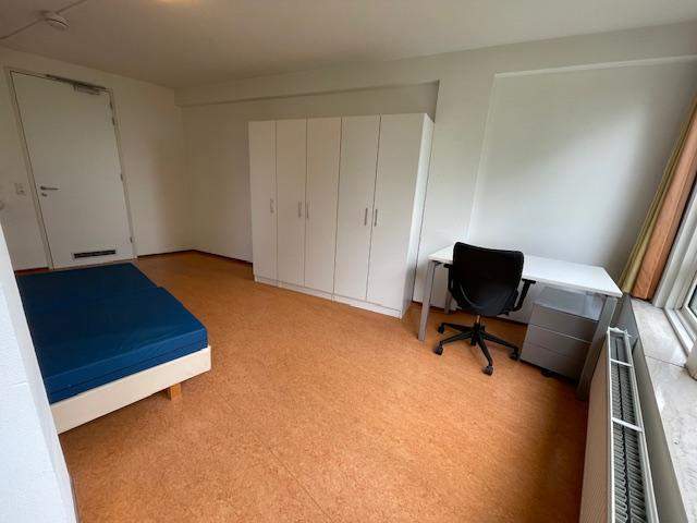 Unmöbliertes Zimmer zur Miete, Stadsbrink, Wageningen