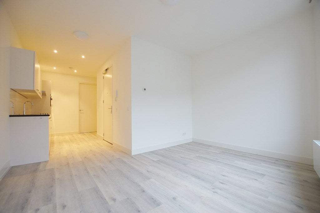 Flat Paradijslaan, Rotterdam - Para Alquilar