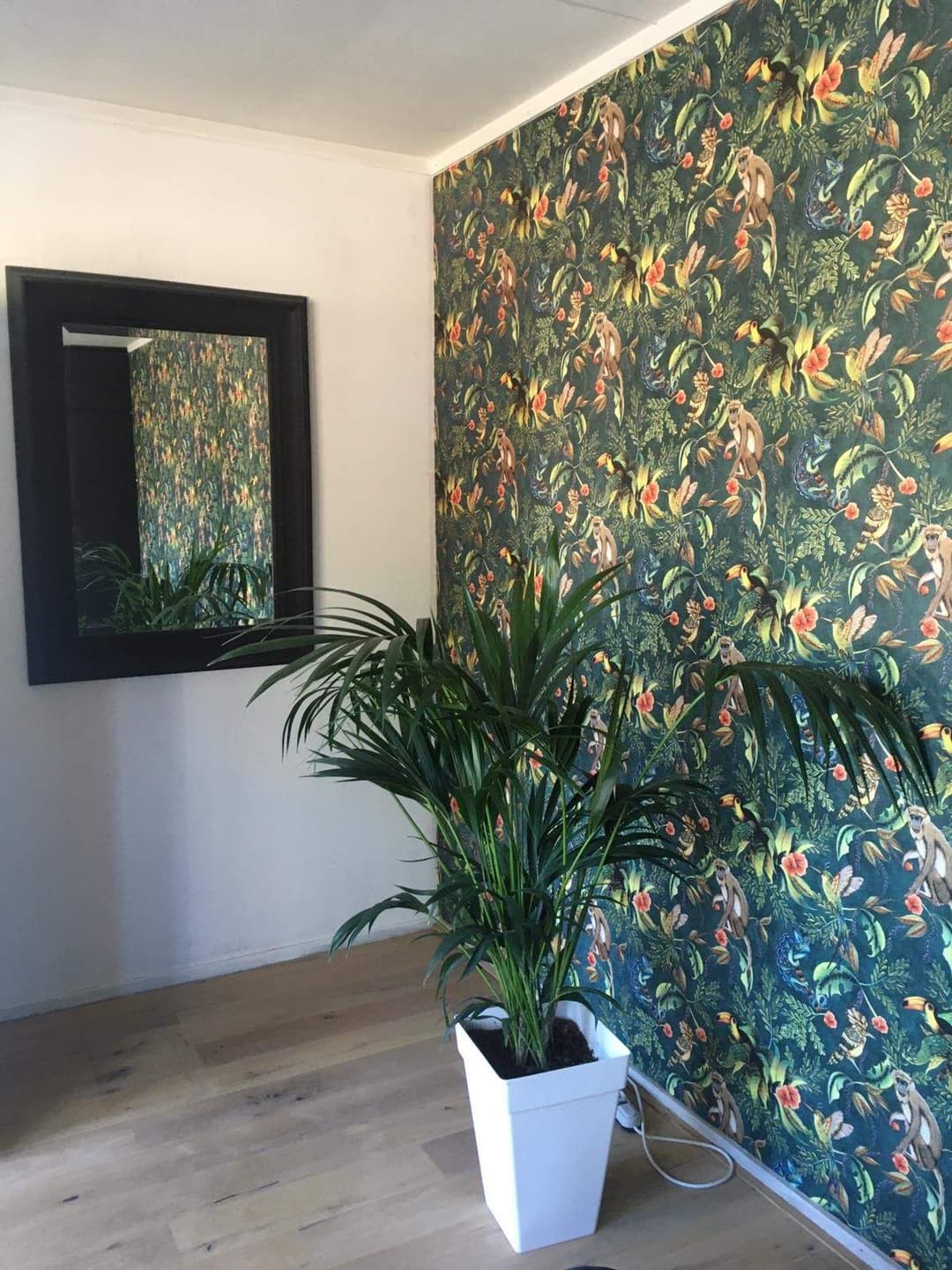 Apartment Boeimeerlaan 264, Breda - For Rent