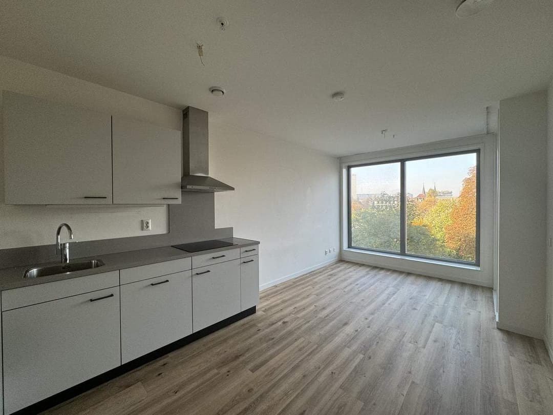 Apartamento Baan 40 C, Rotterdam - En Alquiler