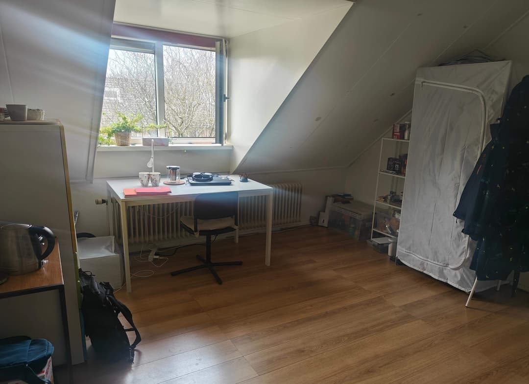 Möbliertes Zimmer in der Kroonstraat, Eindhoven - Zu Vermieten