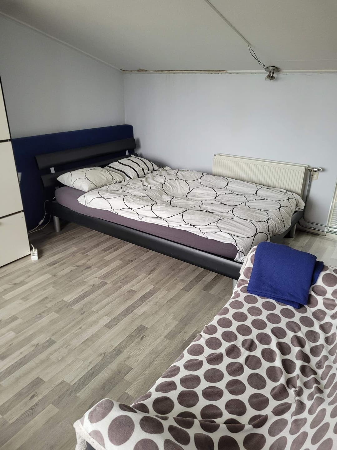 Gemeubileerde studio Jakob Israel de Haanstraat, Groningen - Te huur